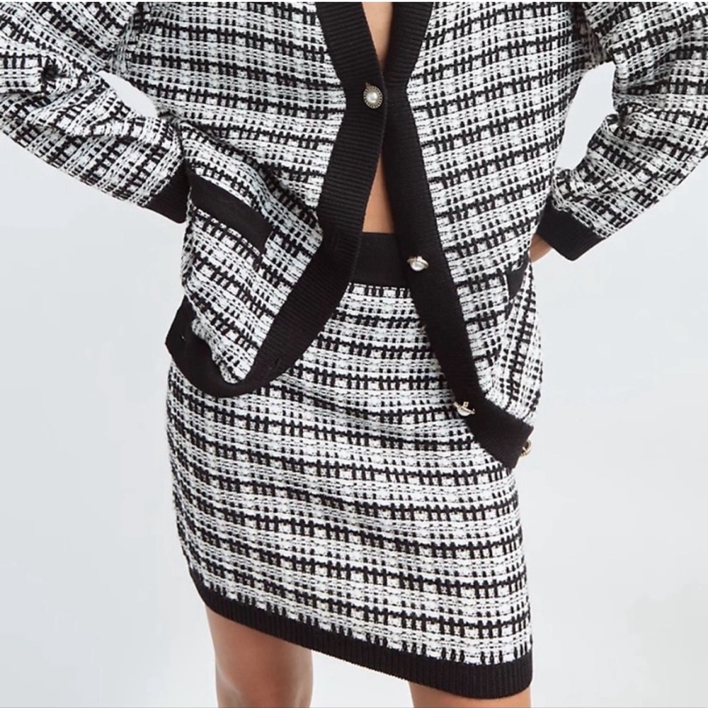 Aritzia Babaton Salvatore Skirt